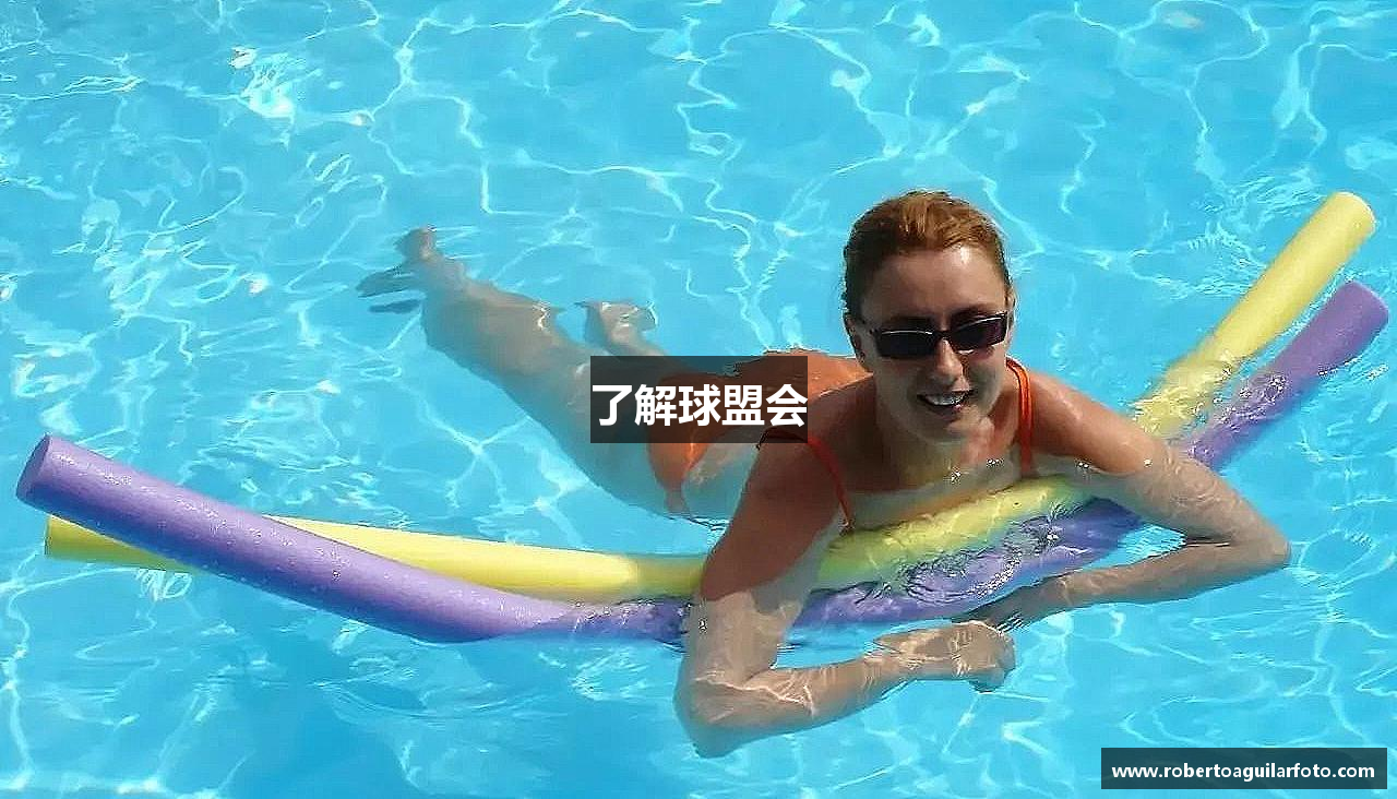 了解球盟会